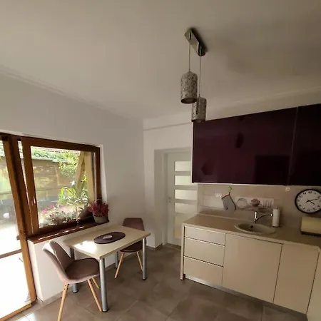 Apartament Individual La Casa Parter Apartment