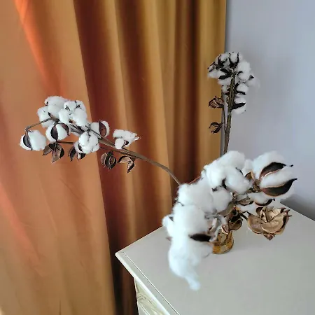 公寓 Apartament Individual La Casa Parter