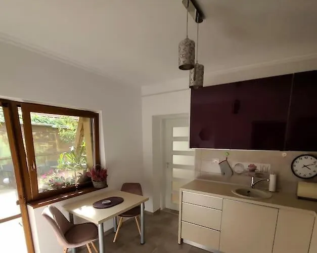 Apartament Individual La Casa Parter Apartment