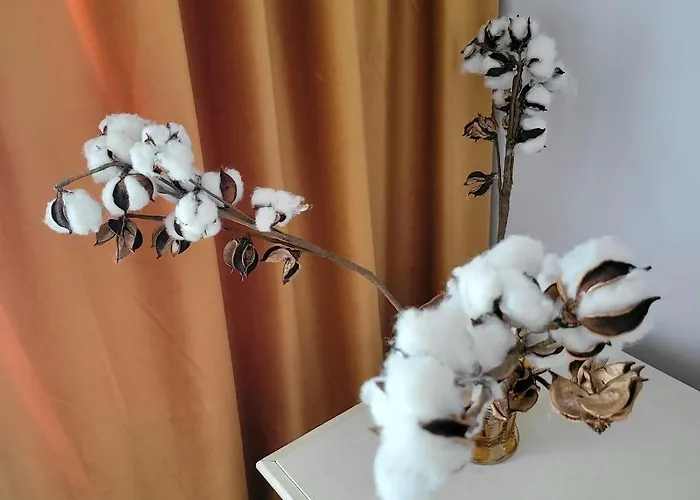 Apartment Apartament Individual La Casa Parter